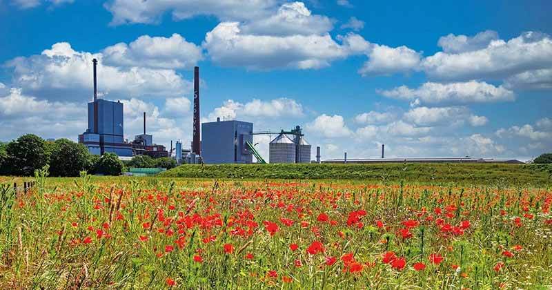 Zignago-power-plant-1