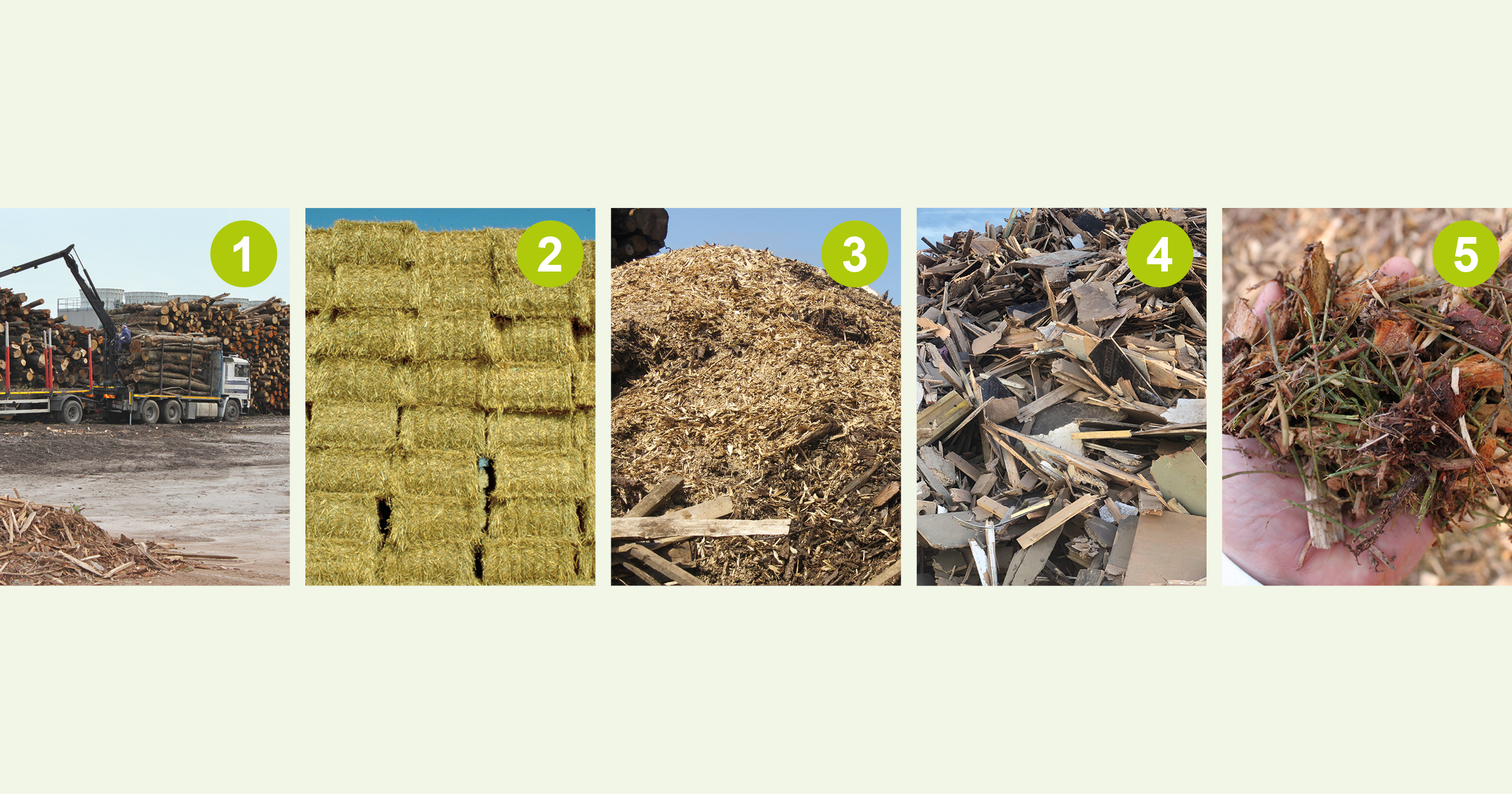 Types of biomass and residues